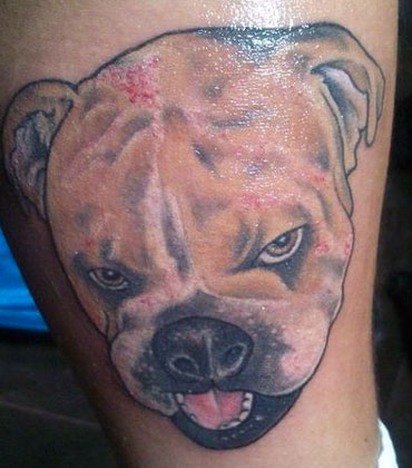 Hundefeinkostladen Tattoo