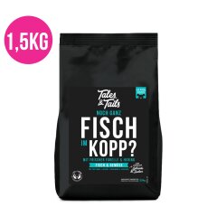 Tales & Tails Noch ganz Fisch im Kopp?