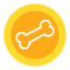 Coin Icon